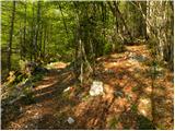 Stara Fužina - Planina Vodični vrh